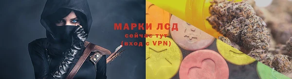 ПСИЛОЦИБИНОВЫЕ ГРИБЫ Верея