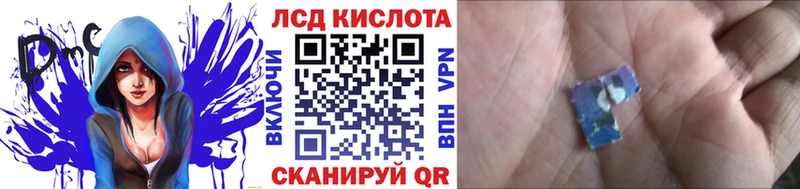 OMG маркетплейс  закладки  Новороссийск  Марки NBOMe 1,5мг 