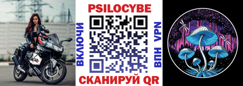 ОМГ ОМГ сайт Новороссийск Галлюциногенные грибы Psilocybine cubensis